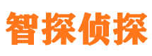 泸定市私家侦探